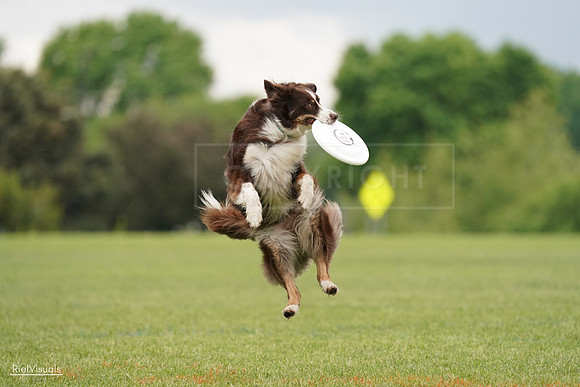 RielVisuals_20240527_132356_SJR09620