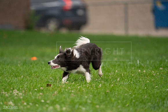 RielVisuals_20240722_192729_SJR01143