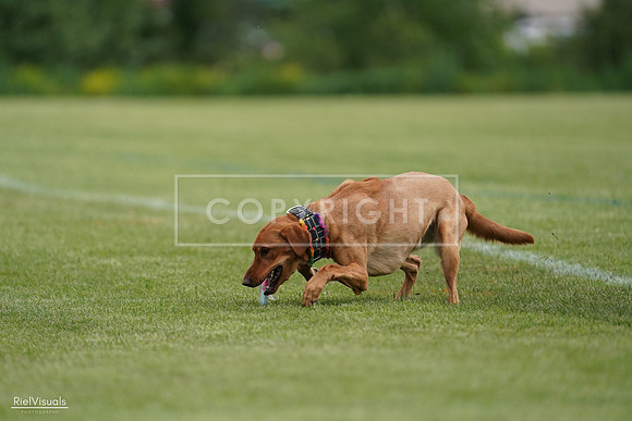 RielVisuals_20240525_160839_SJR03571