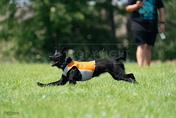 RielVisuals_20240727_134500_SJR08284