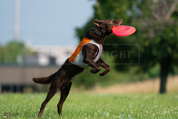RielVisuals_20240727_092519_SJR06287