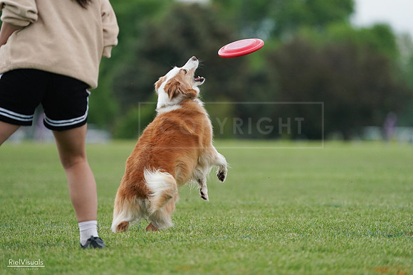 RielVisuals_20240526_101844_SJR09007