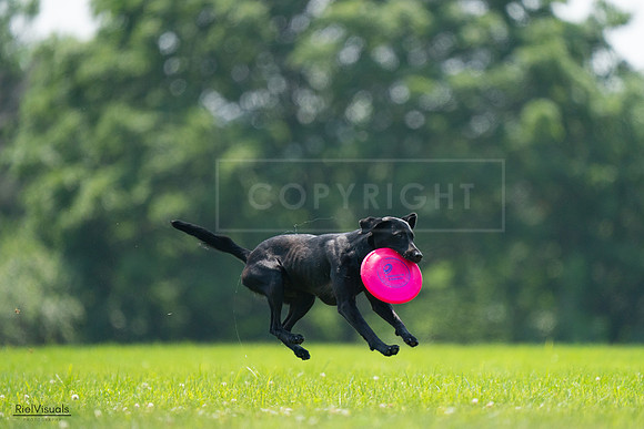 RielVisuals_20240727_131043_SJR07109