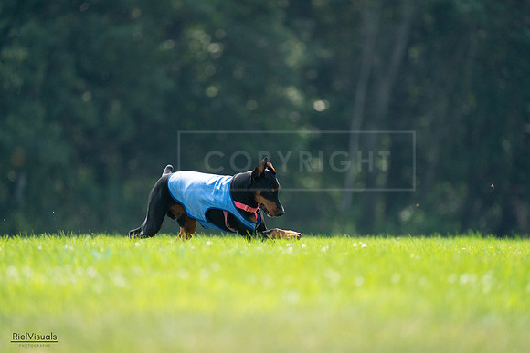 RielVisuals_20240727_122608_SJR05536