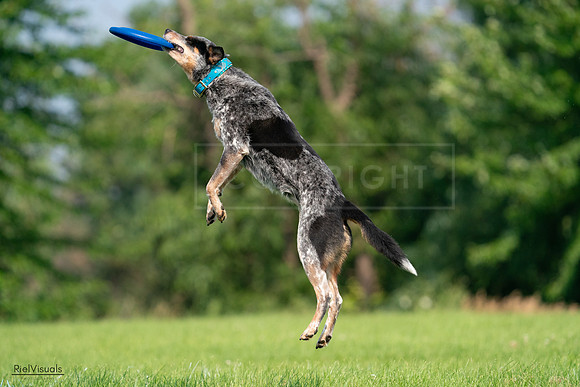 RielVisuals_20240727_094819_SJR07584