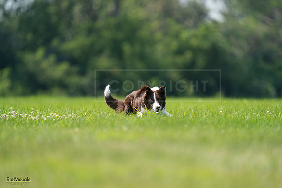 RielVisuals_20240727_115603_SJR04312