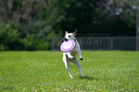 RielVisuals_20240728_120545_SJR02836