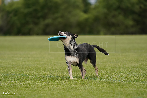 RielVisuals_20240526_134431_SJR08908