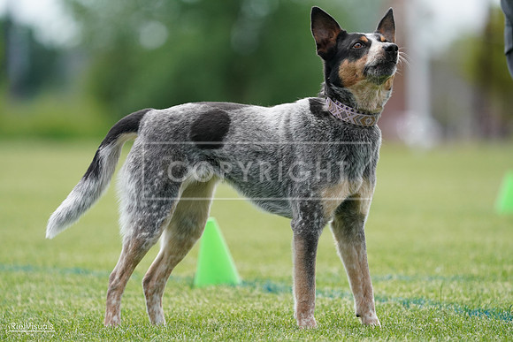 RielVisuals_20240525_125115_SJR01330