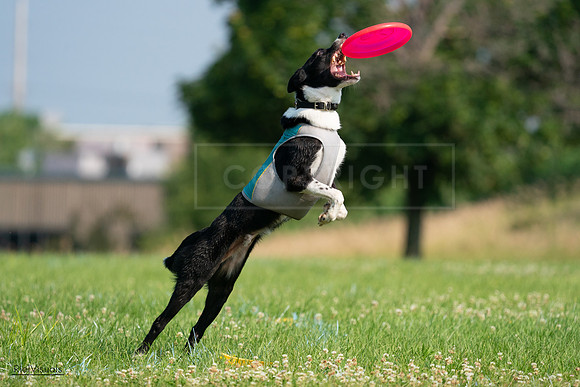 RielVisuals_20240727_094152_SJR07263