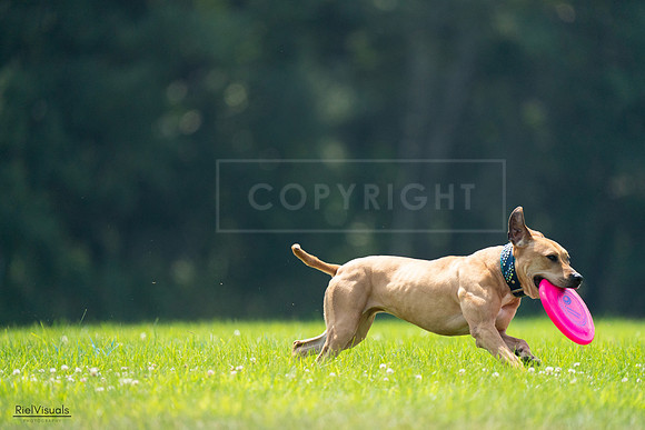 RielVisuals_20240727_121938_SJR05352