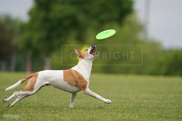 RielVisuals_20240526_134008_SJR08532