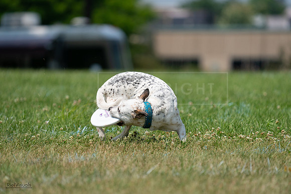 RielVisuals_20240727_134619_SJR08358