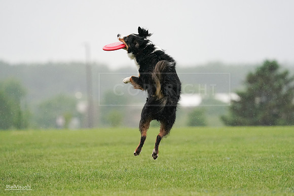 RielVisuals_20240527_104824_SJR01763
