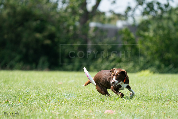 RielVisuals_20240728_144915_SJR09240