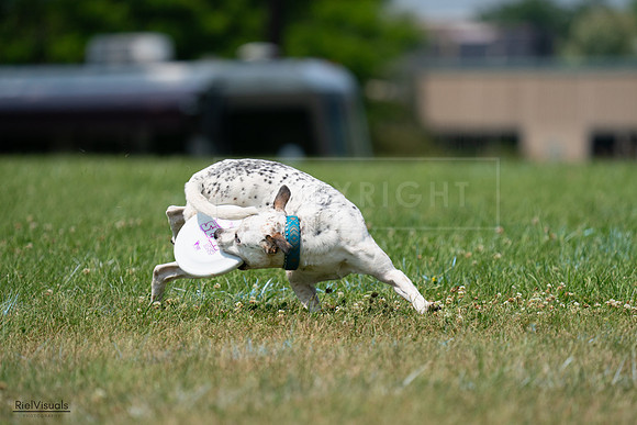RielVisuals_20240727_134619_SJR08357