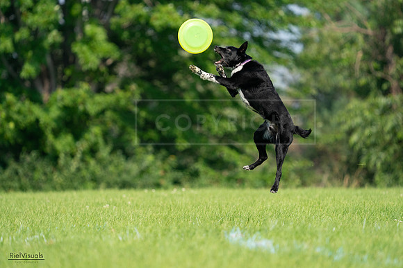 RielVisuals_20240727_094411_SJR07399