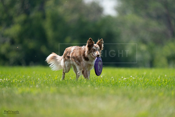 RielVisuals_20240727_131221_SJR07164