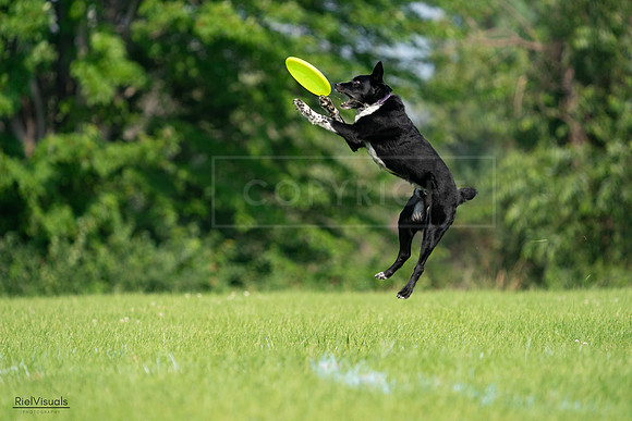 RielVisuals_20240727_094411_SJR07398
