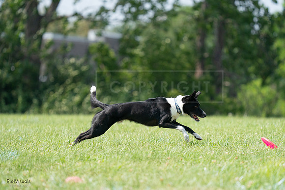 RielVisuals_20240728_144027_SJR08865