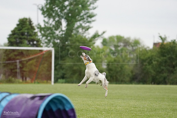 RielVisuals_20240526_092830_SJR00137