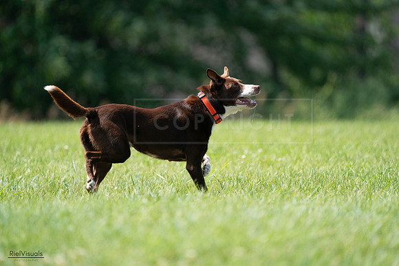 RielVisuals_20240728_144856_SJR09213