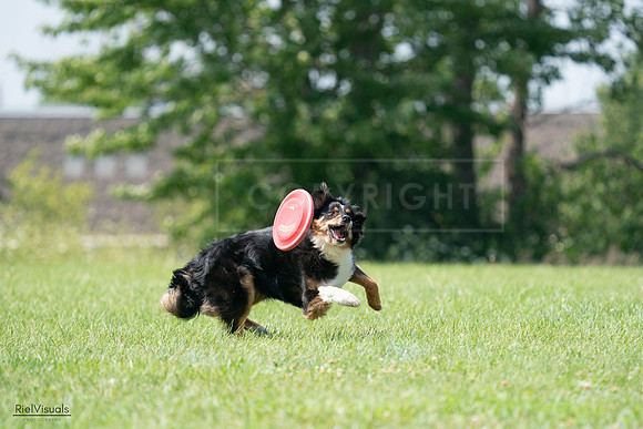 RielVisuals_20240728_143236_SJR08490
