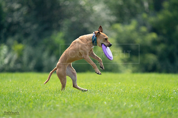 RielVisuals_20240728_135336_SJR07400