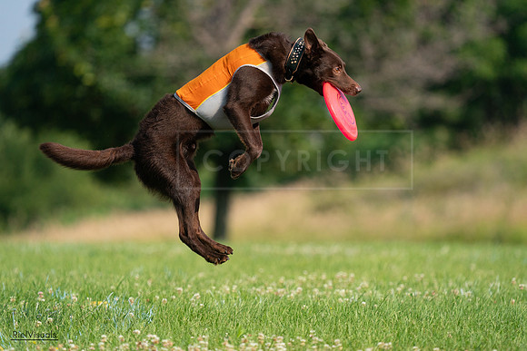 RielVisuals_20240727_092538_SJR06347