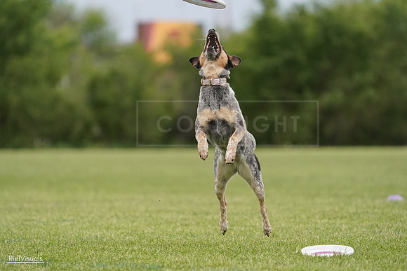 RielVisuals_20240526_133626_SJR08308