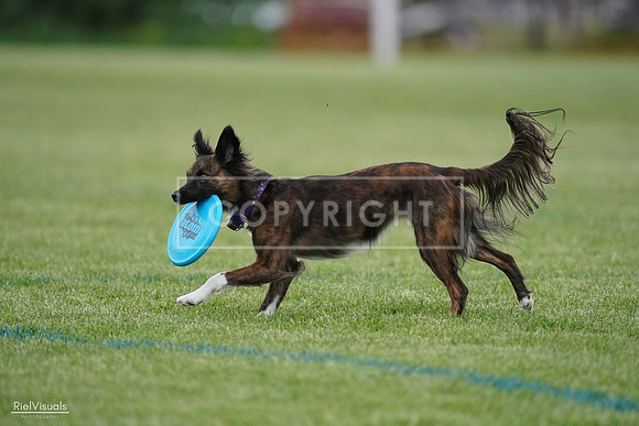 RielVisuals_20240525_175957_SJR08924