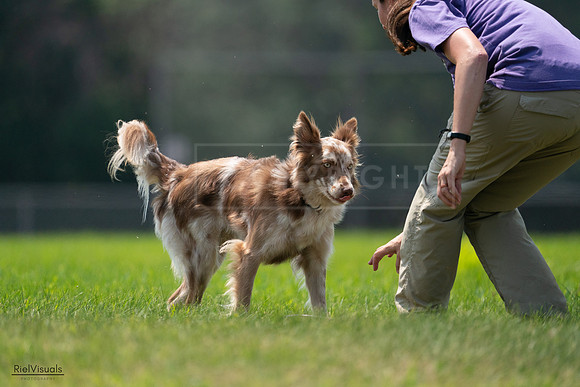 RielVisuals_20240727_131251_SJR07220