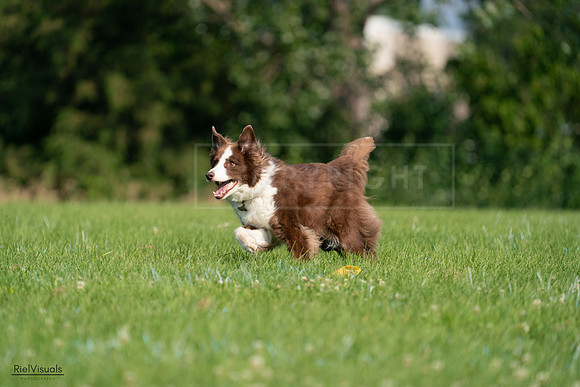 RielVisuals_20240727_093443_SJR06810