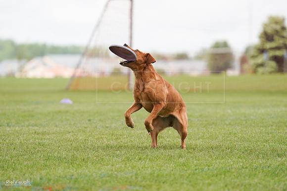 RielVisuals_20240527_141128_SJR01860