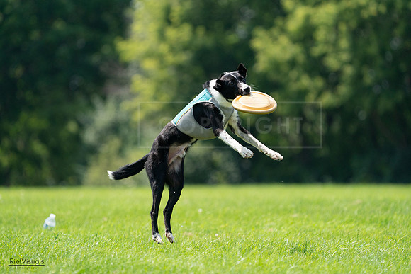 RielVisuals_20240728_132801_SJR06296