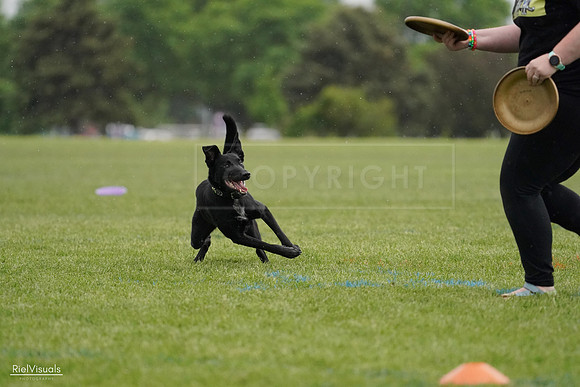 RielVisuals_20240526_092337_SJR09904