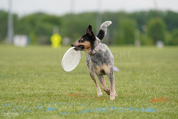 RielVisuals_20240526_133637_SJR08341