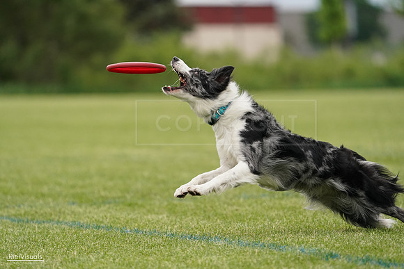 RielVisuals_20240526_133145_SJR08083