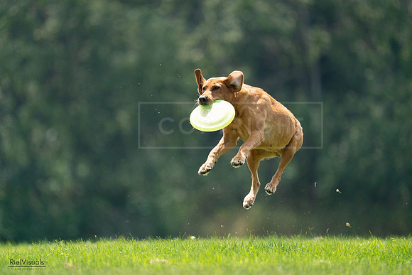 RielVisuals_20240727_122411_SJR05455
