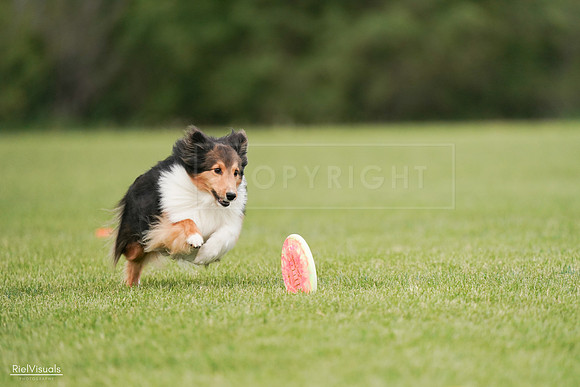 RielVisuals_20240527_140925_SJR01646