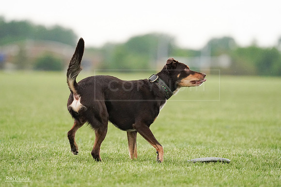 RielVisuals_20240526_095735_SJR01498