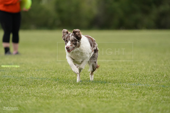 RielVisuals_20240526_132929_SJR07940