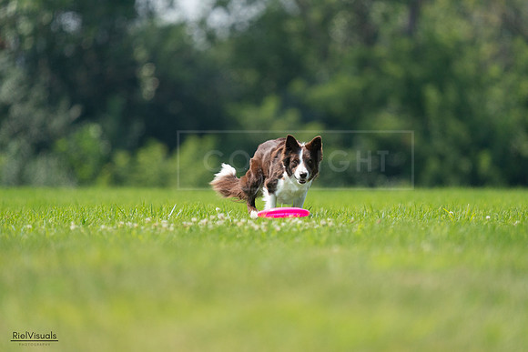 RielVisuals_20240727_115603_SJR04307