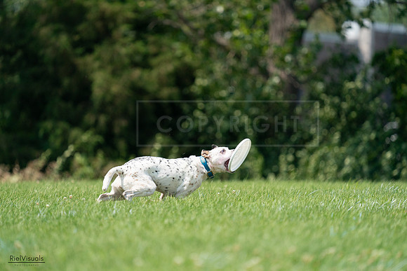 RielVisuals_20240727_134610_SJR08338