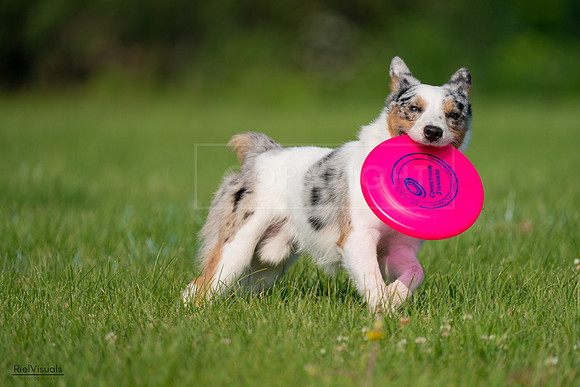 RielVisuals_20240727_092248_SJR06135