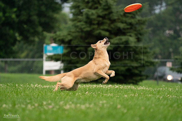 RielVisuals_20240722_191558_SJR00338