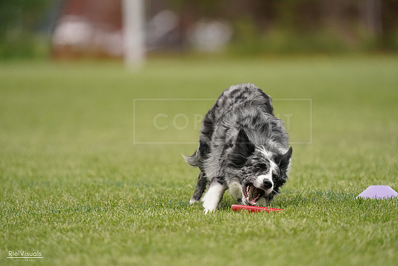 RielVisuals_20240526_133316_SJR08202