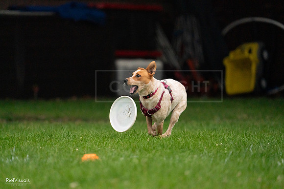 RielVisuals_20240722_193803_SJR01654