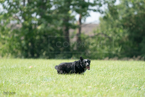 RielVisuals_20240728_143753_SJR08731