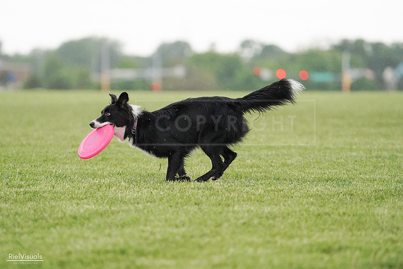 RielVisuals_20240526_095252_SJR01233